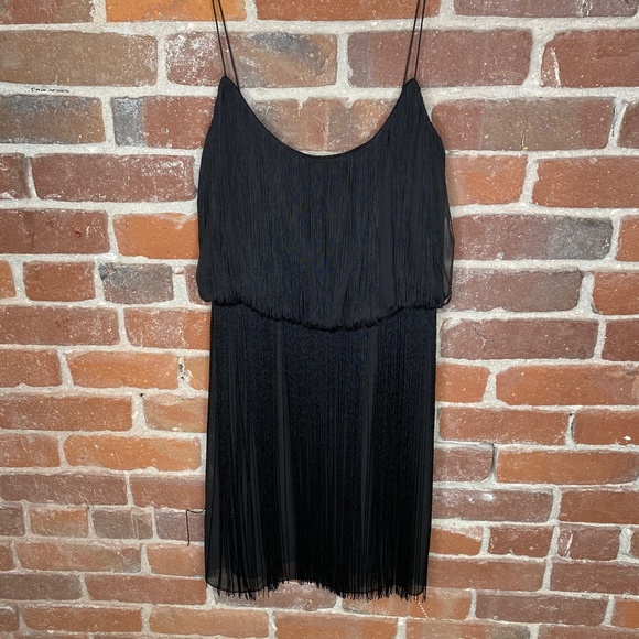 Fringe Dress - Picture 2 of 9